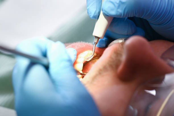 Best Emergency X-Rays and Diagnostics in Oxon Hill, MD